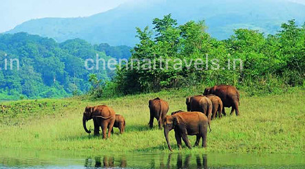 chennai to ooty tour packages by car