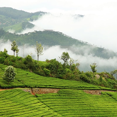 chennai to kodaikanal places to visit