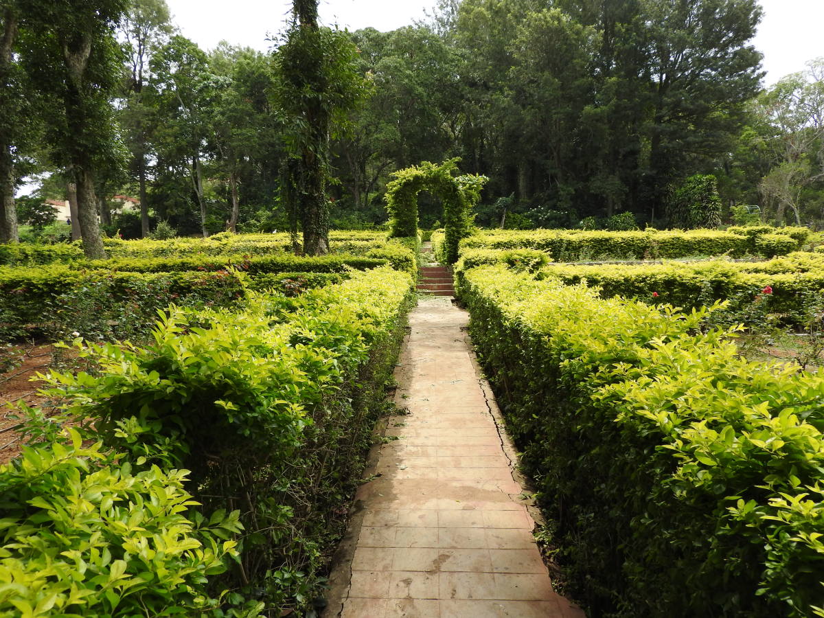 Yercaud Tour Package from Chennai