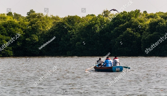 Pichavaram mangrove forest Boat ride