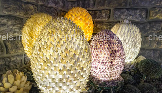 India seashell museum