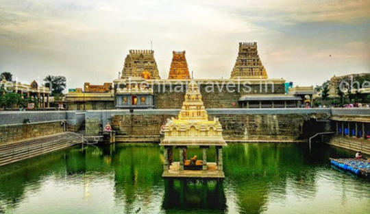 Varatharaja perumal temple kanchipuram