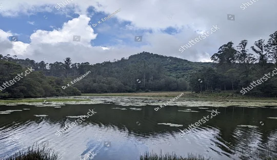 Kodaikanal Berijam Lake