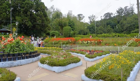 Kodaikanal Byrant Park