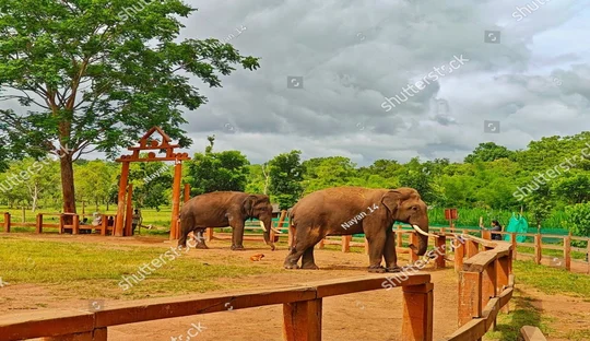 2 Nights and 3 Days Coorg Tour Package