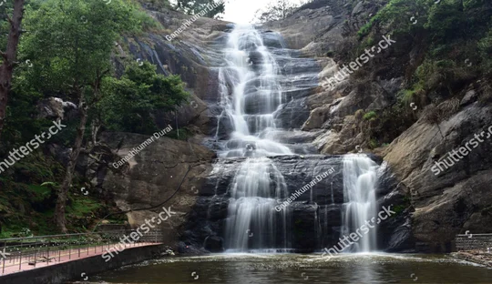 Car Rental to Kodaikanal