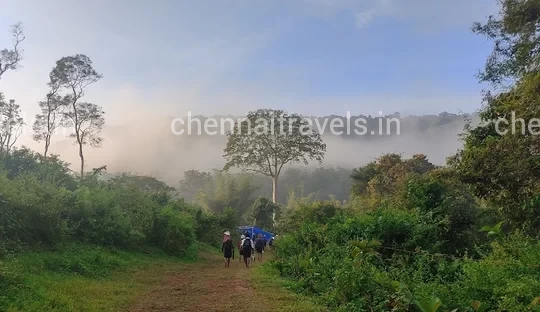 Erumeli Trekking Path Erumeli Trekking Path to Sabarimala