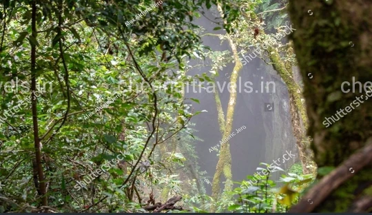 Guna Cave Near Kodaikanal Guna Cave Near Kodaikanal