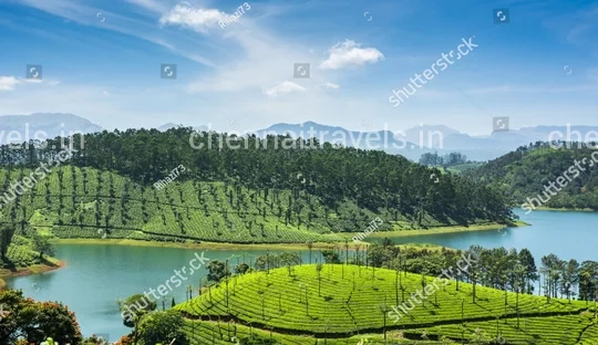 Sholayar Dam Viewpoint Valparai Hill Station Tour Package from Chennai