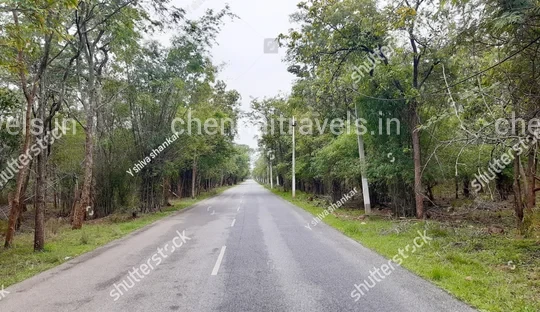 Srisailam Nallamala Forest Route Nallamala Forest Srisailam