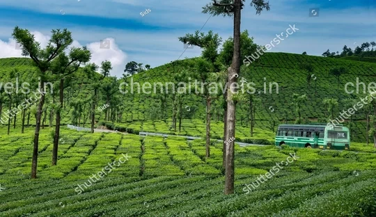 Chennai to Valparai Tour Package