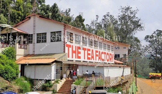 Tea Factory in Ooty Ooty Tea Factory