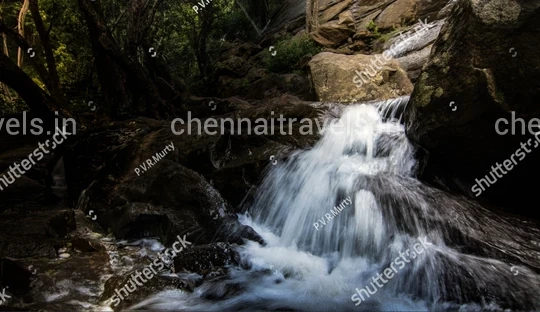 Kiliyur Falls Yercaud Chennai to Yercaud Trip