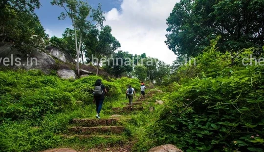 Yelagiri Tour Package from Chennai